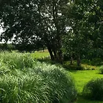 Litzkow 16302 *