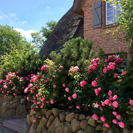 Vakantiehuis Litzkow 16302 *