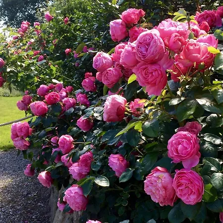 Vakantiehuis Litzkow 16302 Archsum