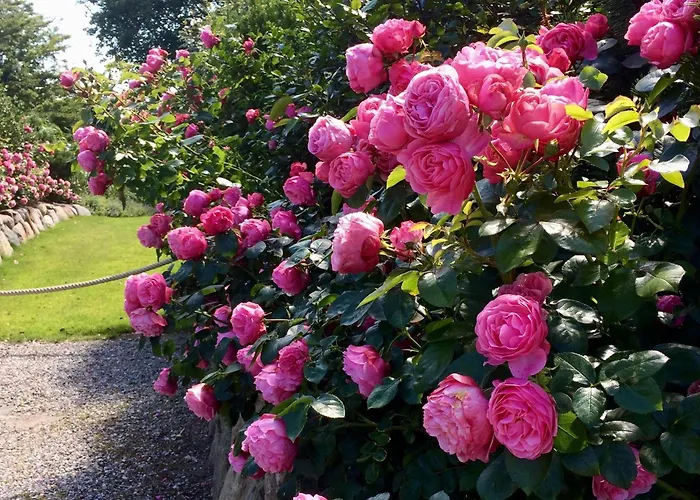 Vakantiehuis Litzkow 16302 Archsum